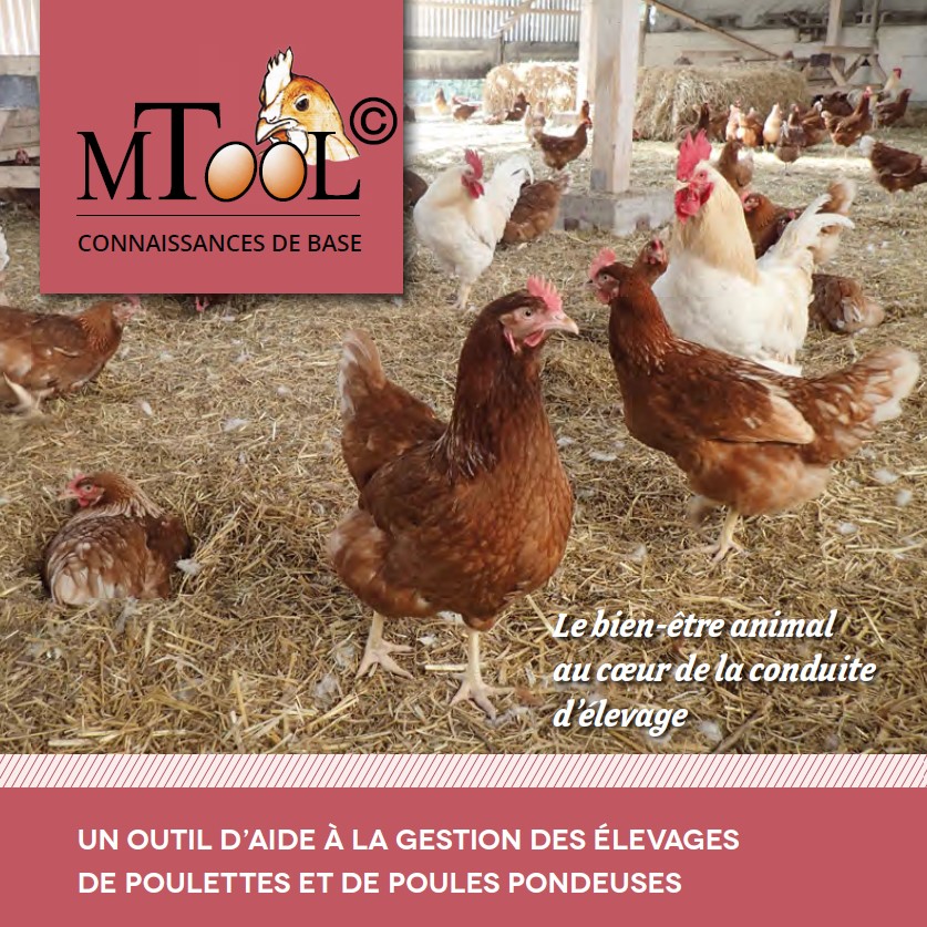 Version française du manuel "MTool - Connaissances de base" à télécharger
