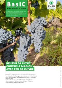 Viticulture bas intrant cuivre