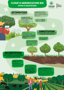 infographie solutions climat arboriculture